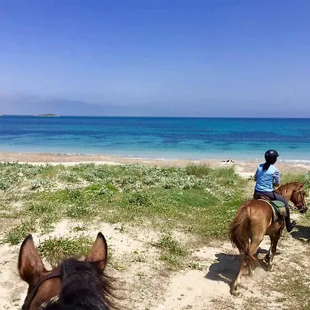 펜션 Immersed In The Pine Forest In Sardinia 아르보레아