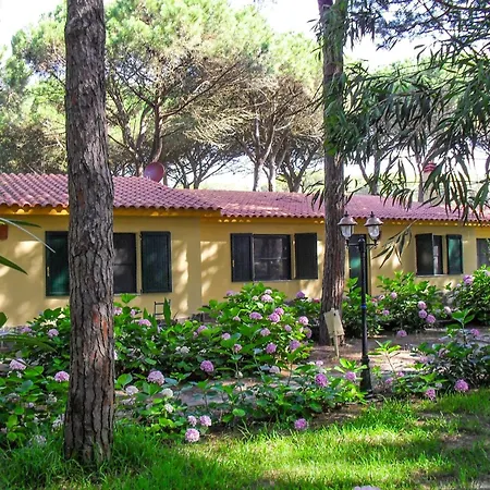 Immersed In The Pine Forest In Sardinia Holiday home *
