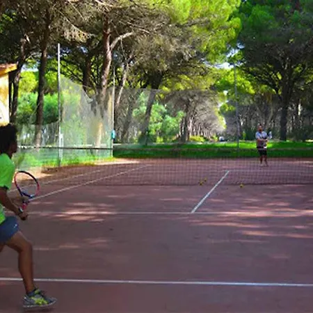 Immersed In The Pine Forest In Sardinia *